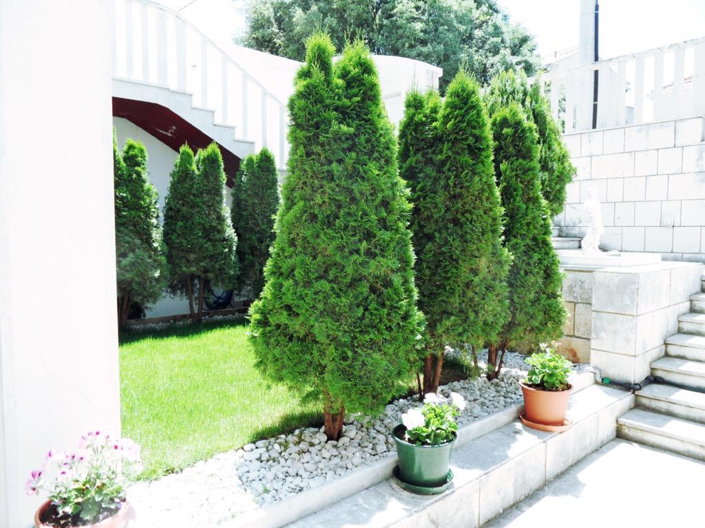 Adria Apartments And Rooms Dubrovnik Exterior photo